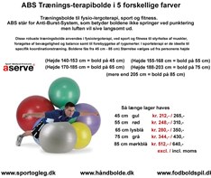 ABS Trænings-Terapibolde