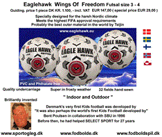 EAGLEHAWK  Wings Of Freedom Futsal  size. 3 - 4 Special Price
