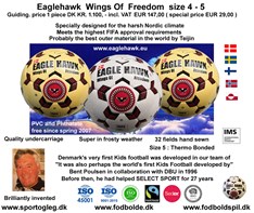 EAGLEHAWK  Wings Of Freedom Futsal  size. 3 - 4 Special Price