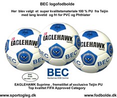 BEC Bankernes EDB Central  Logofodbolde